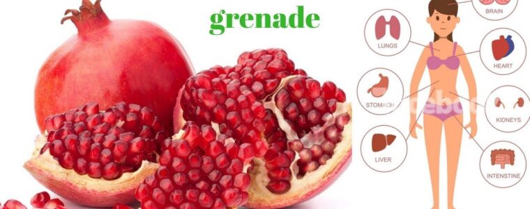 Vertus de la Grenade sur la Cholestérol, Prostate et Diabète
