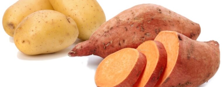 Patate: Bienfaits et Avantages de la patate douce sur la Santé